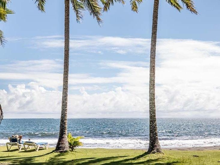Palm trees framing the Pacific view at Fare Arearea private beach